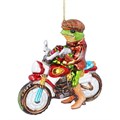 Dressed Glass Frog on Motorcycle Dec