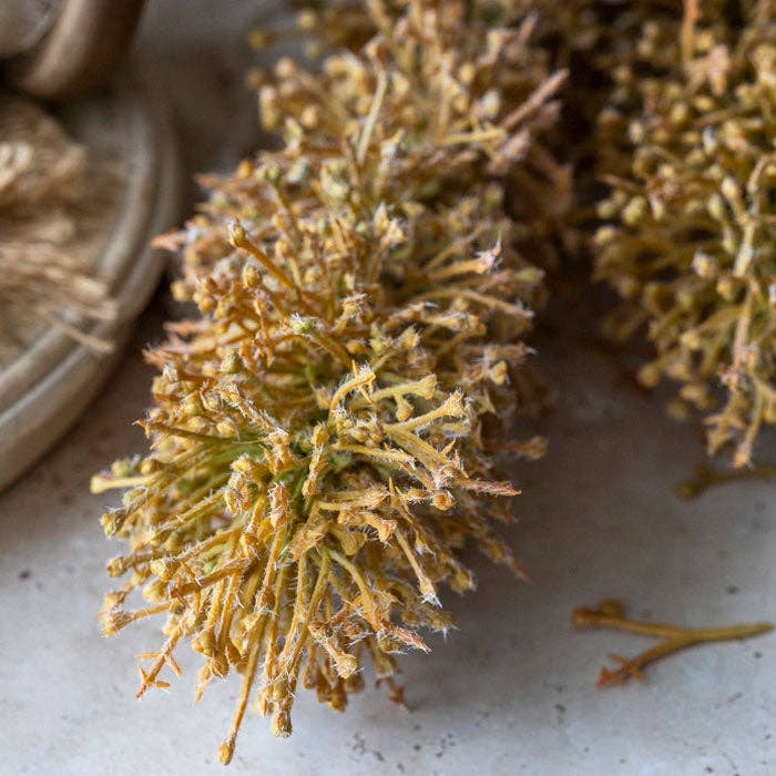 Foxtail Lily Artificial Flower Stem