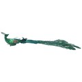 Green Peacock Clip w Long Feather Tail,  (LxWxD) 9x45x43cm