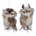 Fluffy Feather Owl Dec, 2as