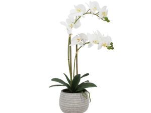 Real Touch Orchid in Grey Pot 23"