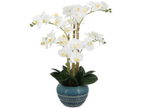 Real Touch Orchid in Teal Pot 23"