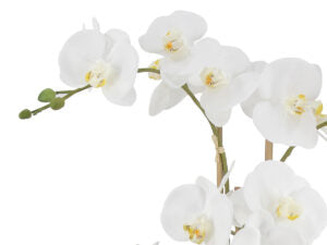 Real Touch Orchid in Round Stone Pot 22.5"