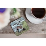 YOUNG HARE  Coasters