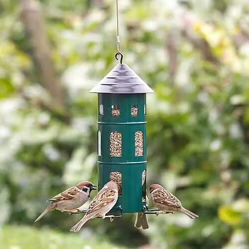 Combi Feeder Seeds Green
