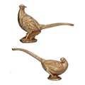 Resin Orn 35cm - Gold Pheasant, 2as