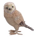 Bristle Orn 37cm - Owl