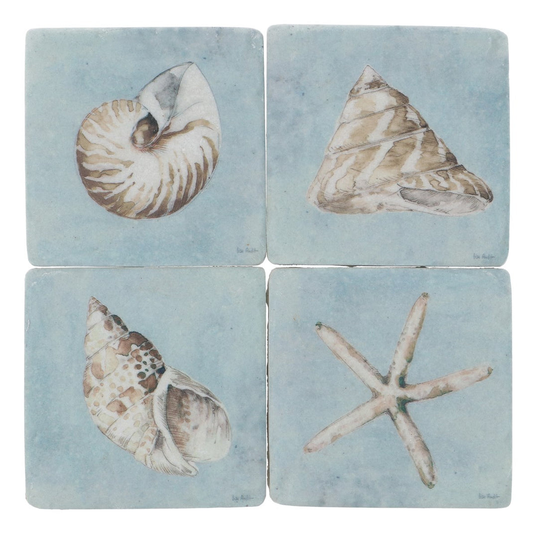 Shells Resin Coaster 4as,  (LxWxD) 10x10x0.8cm