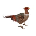 Bristle Orn 26cm - Coloured Pheasant