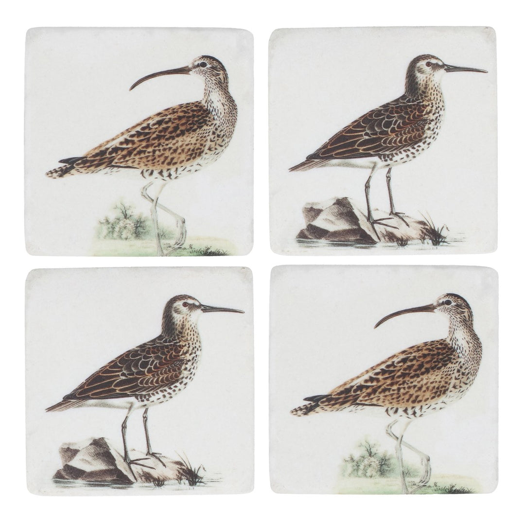 Coastal Birds Resin Coaster, 2as,  (LxWxD) 10x10x0.8cm