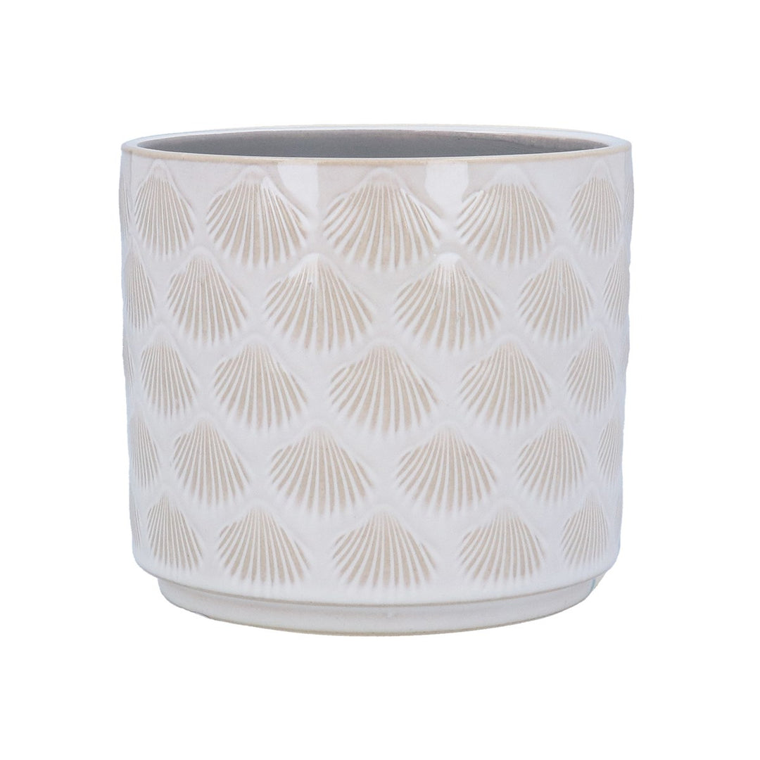 White Shells Stoneware Pot Cover, Med,  (LxWxD) 17x17x15cm