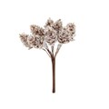 Pick 13cm - Snowy Cone Bunch
