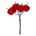 Pick 12cm - Shiny Red Apple Bunch
