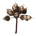 Pick 12cm - Gold Acorn Bunch