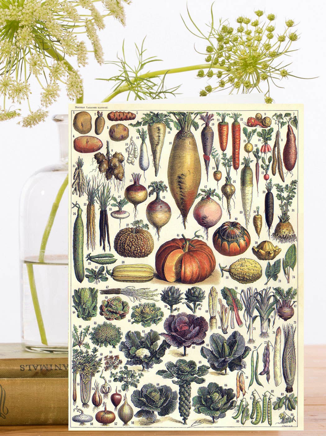 RS034P ~ Blank Botanical Greeting Card