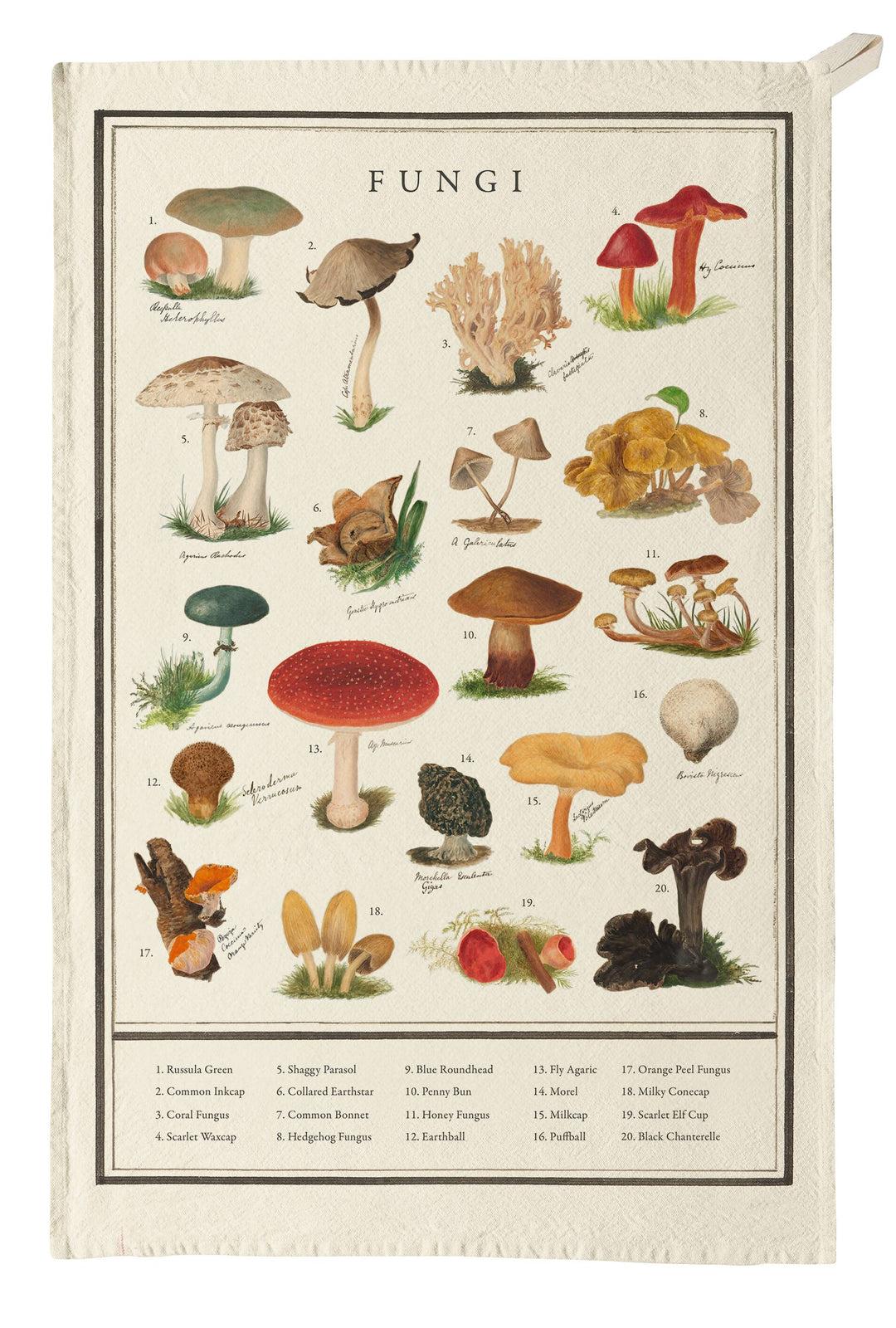 Organic Cotton Tea Towel - Fungi