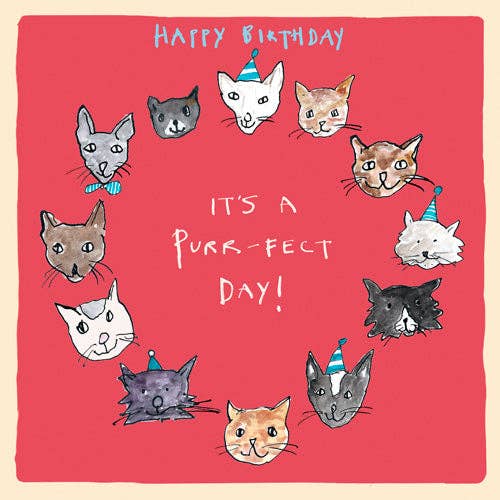 ‘Purr-fect Day’ Birthday Card, Studio , FP977