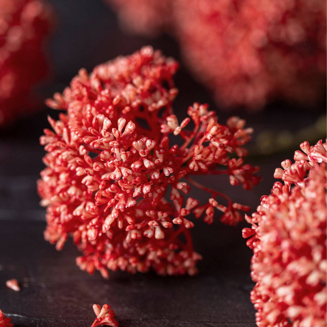 ARTIFICIAL SEDUM CORAL