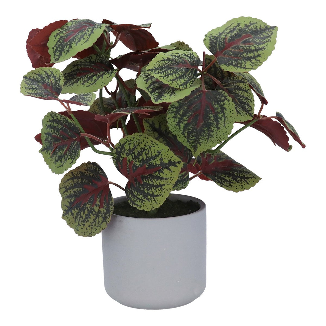 Faux Coleus in Pot,  (LxWxD) 35x34x13cm