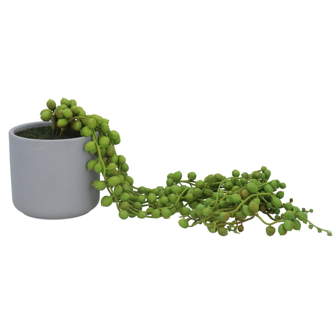 Faux String of Pearls Senecio in Pot
