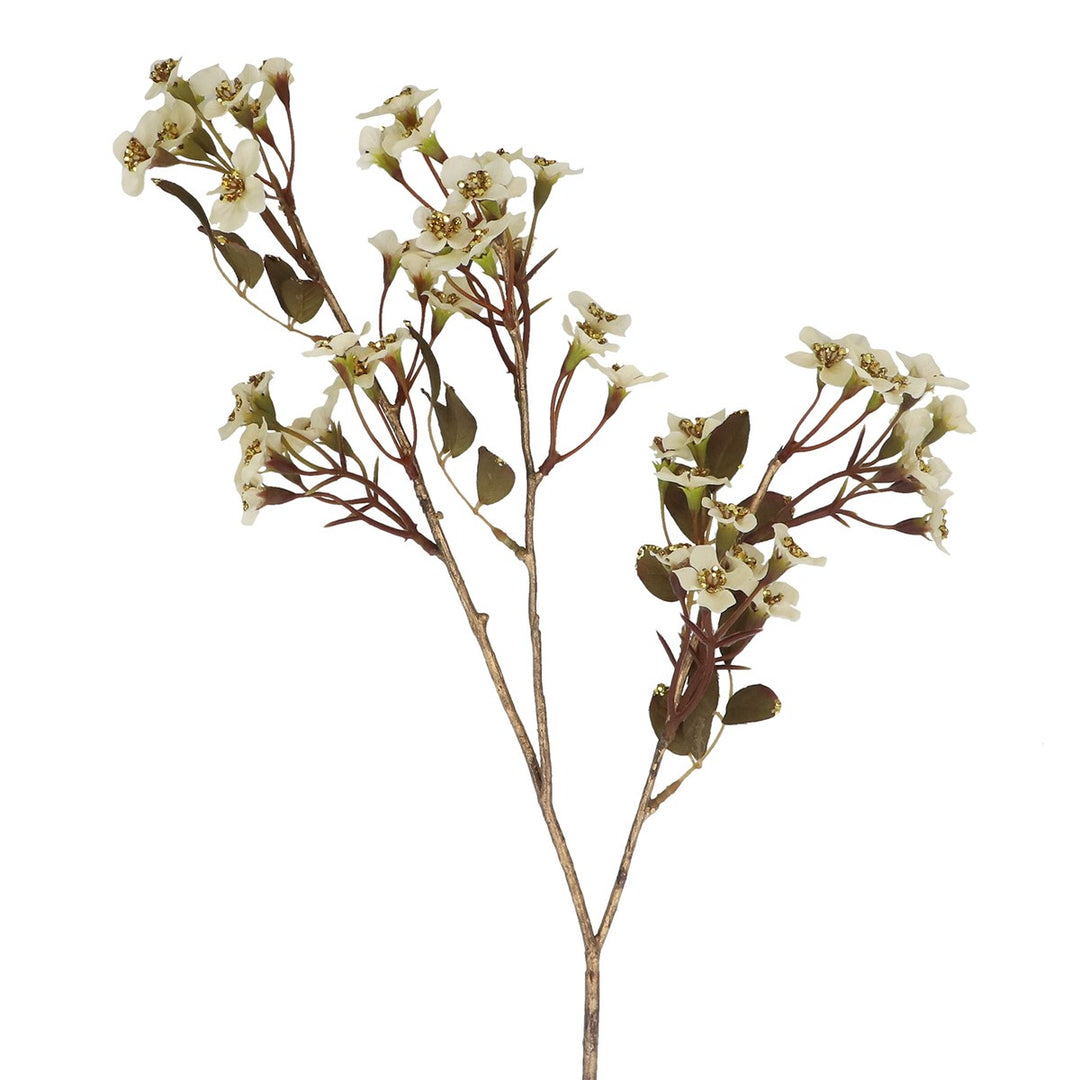 Cream Gold Jasmine Spray