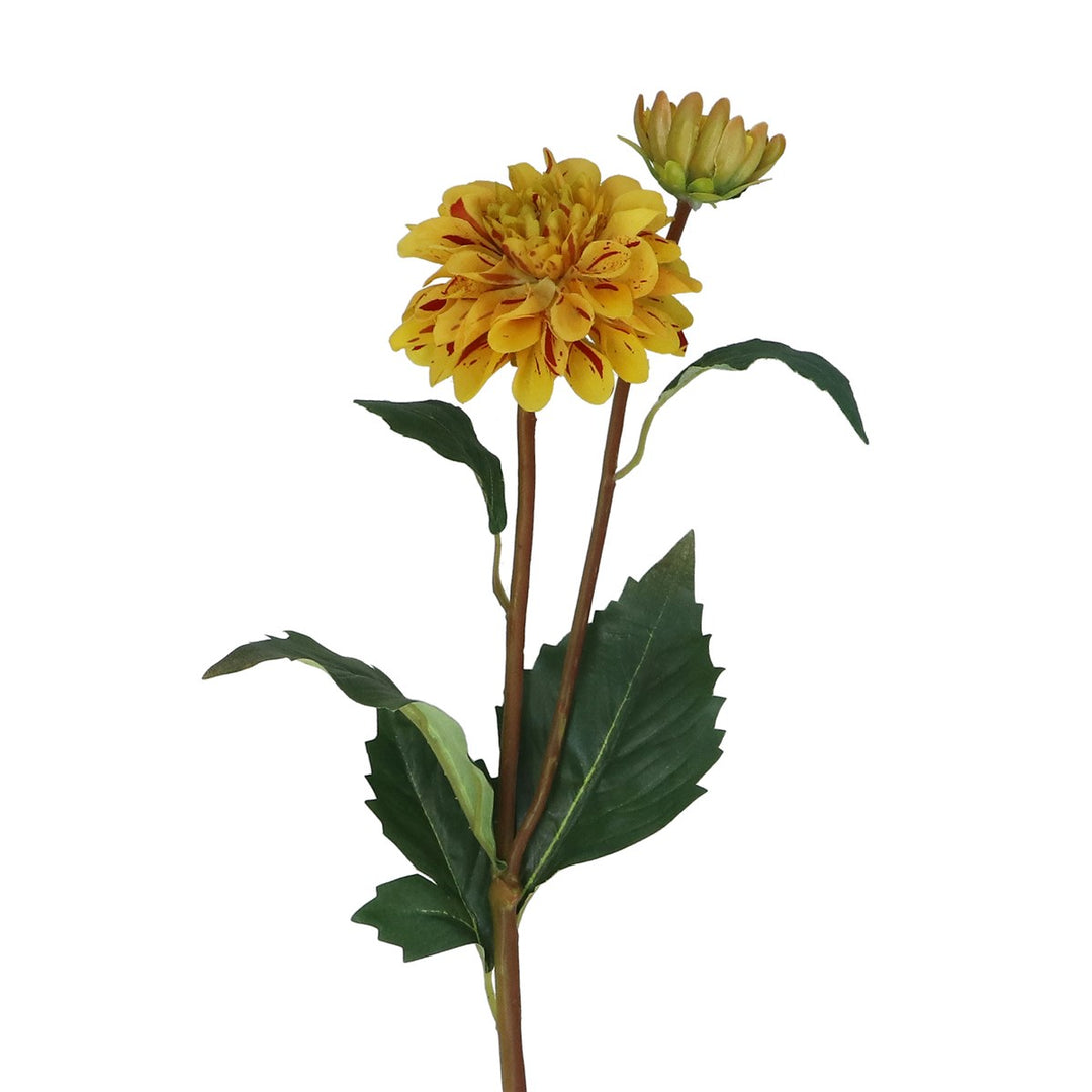 Yellow & Pink Striped Dahlia Spray,