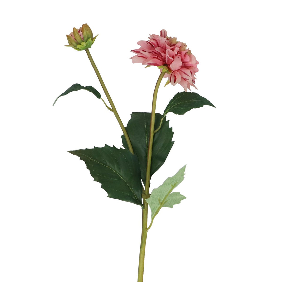 Pink Striped Dahlia Spray,