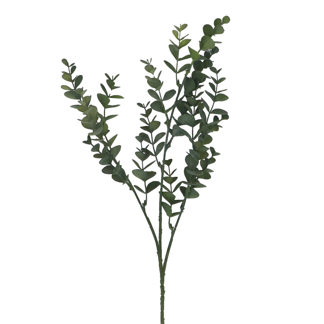 Mini Eucalyptus Pick,