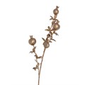 Branch 80cm - Matt Gold Pomegranate