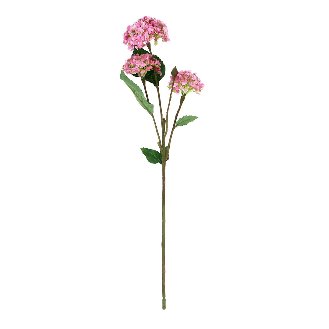 Pink Snowball Spray,  (LxWxD) 53x17x8cm