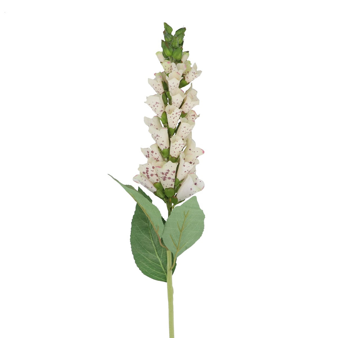 Stem 82cm - Cream Foxglove
