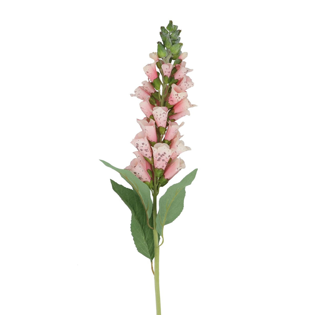 Stem 82cm - Light Pink Foxglove