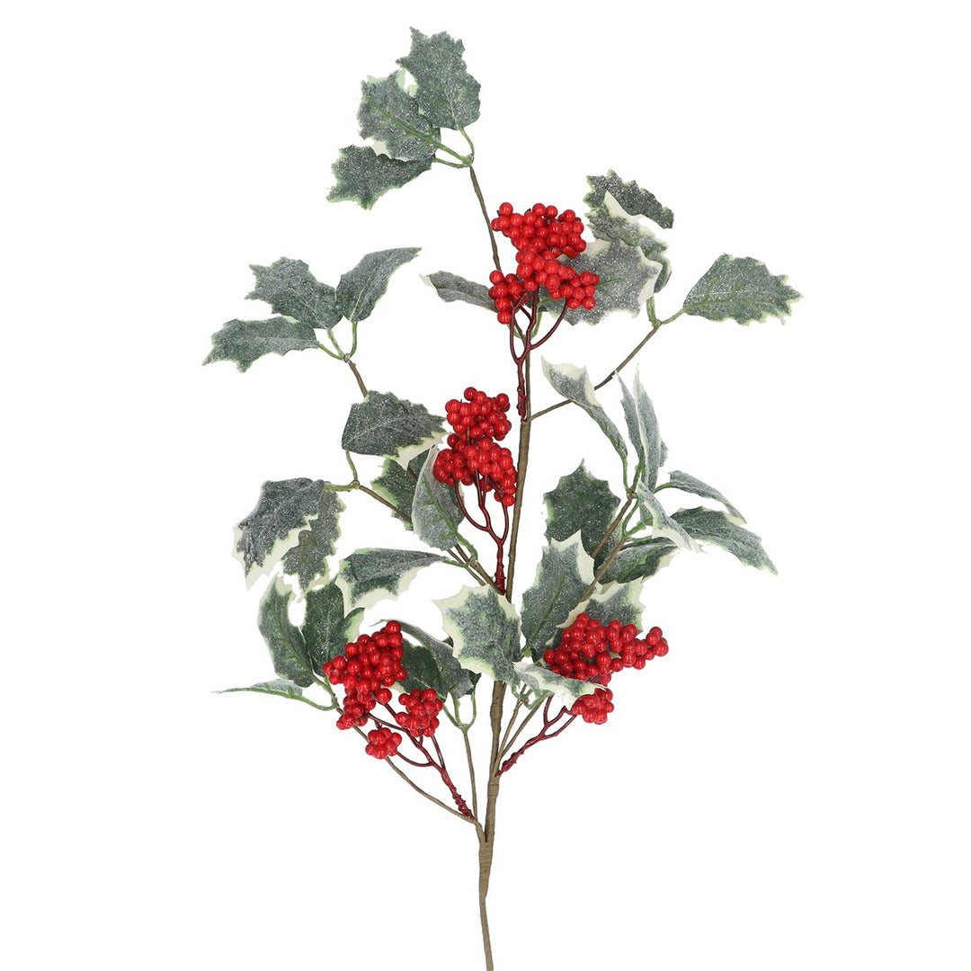 Spray, 69cm - Variegated Holly & Berry Clusters