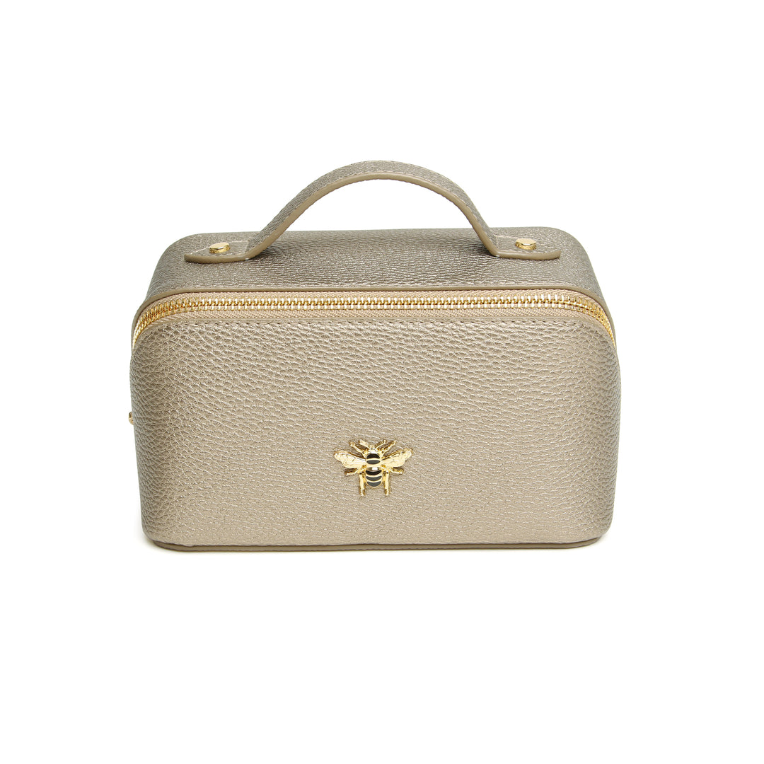 Bronze Mini Train case