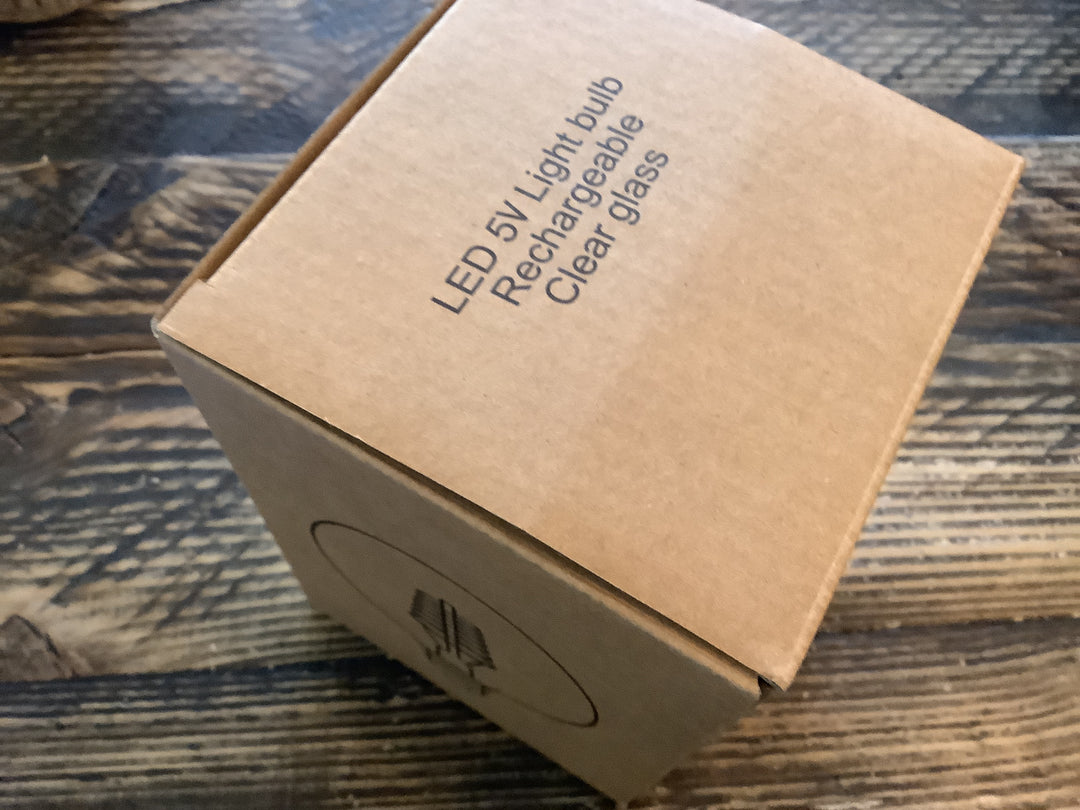 Rechargeable G95 E40 Bulb