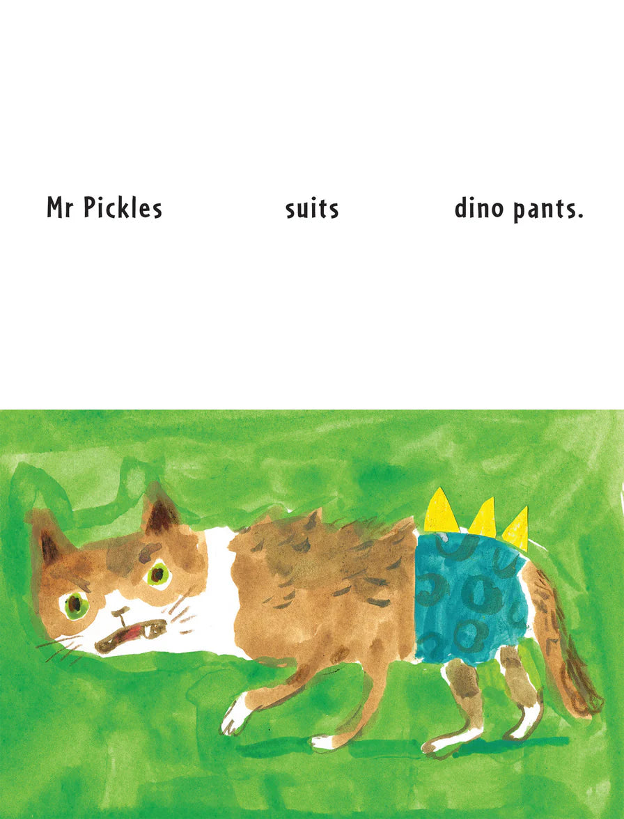 Cats in Pants