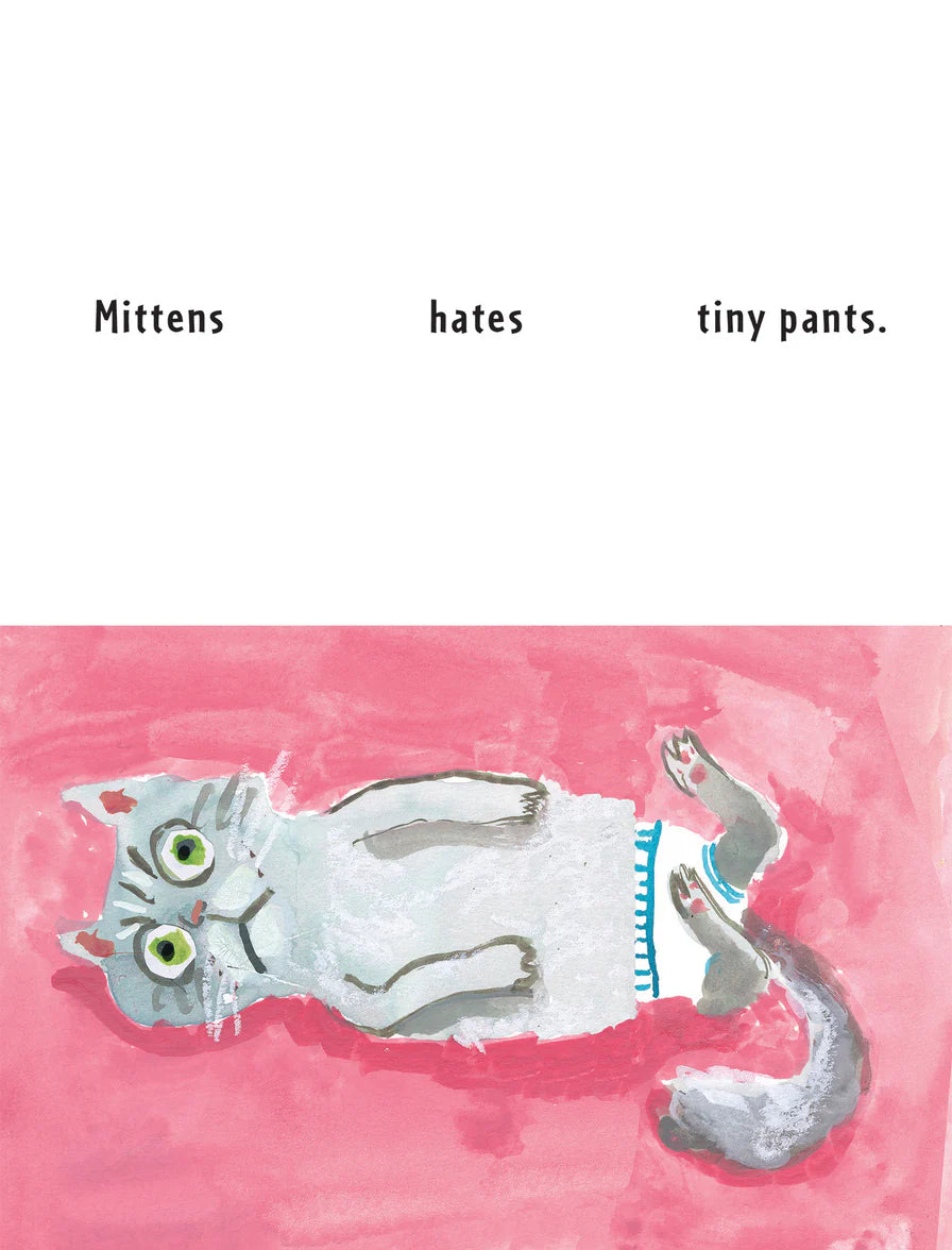 Cats in Pants