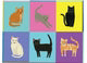 Cat Etiquette Chic Notecard Box