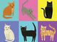 Cat Etiquette Chic Notecard Box