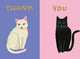Cat Etiquette Chic Notecard Box