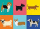 Prize Pooches Chic Notecard Box