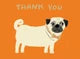 Prize Pooches Chic Notecard Box