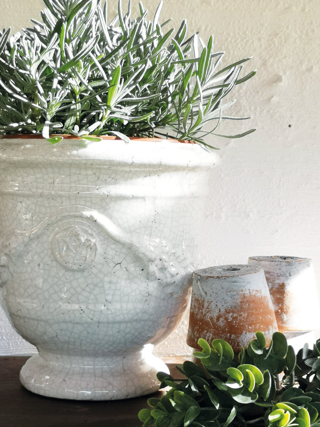 Urn Merida Ivory Large