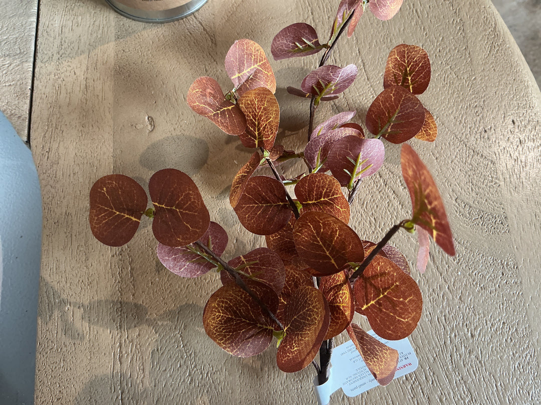Chestnut Eucalyptus Pick,  (LxWxD) 33x21x21cm