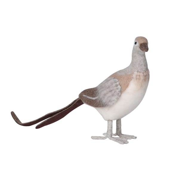 GOLDEN PLUMAGE PHEASANT