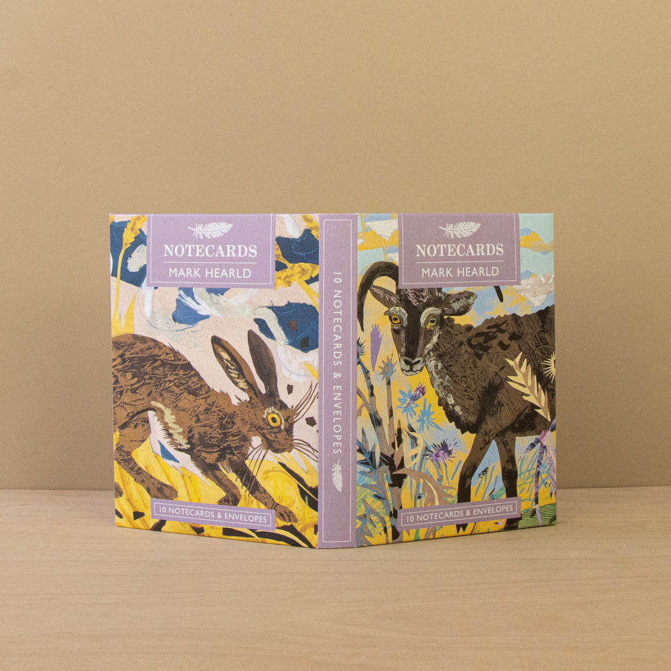 Soay Sheep & Hare