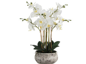 Real Touch Orchid in Round Stone Pot 22.5"