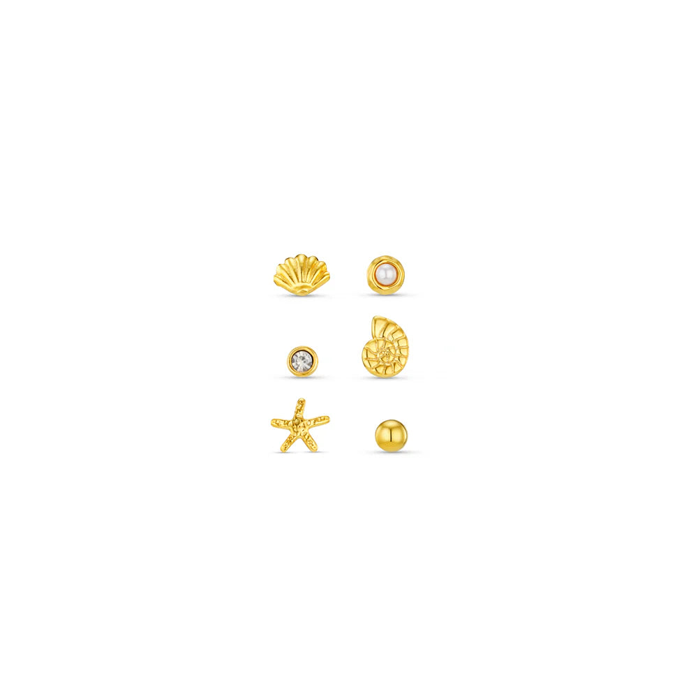 18k Gold Plated Shell & Starfish Charm Stud Pack