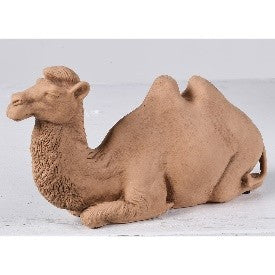 SAND SLUMBER CAMEL