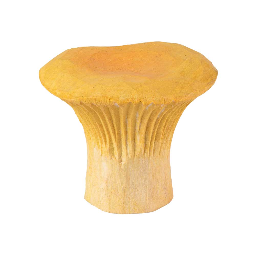 Cabinet Knob – Chanterelle